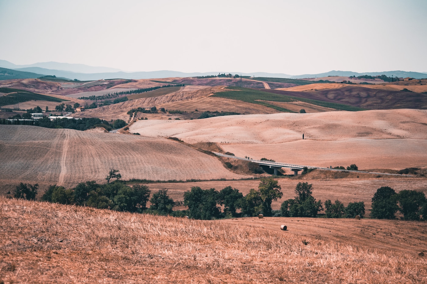 Puglia Italy countryside golden wheat fields